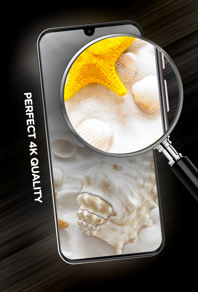 Shells Wallpapers in 4K - Image screenshot of android app