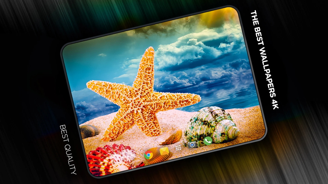 Shells Wallpapers in 4K - Image screenshot of android app