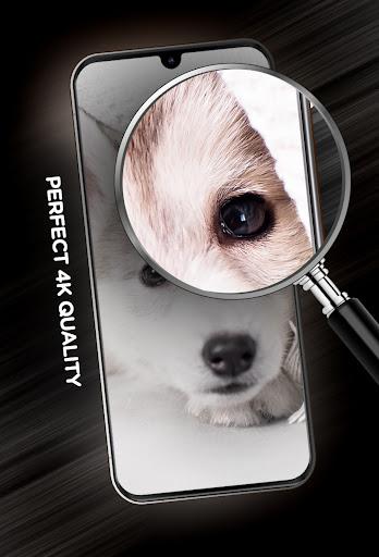 Cute animals Wallpapers - عکس برنامه موبایلی اندروید