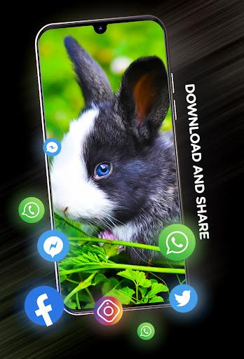 Cute animals Wallpapers - عکس برنامه موبایلی اندروید