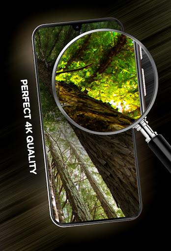 Trees Wallpapers in ۴K - عکس برنامه موبایلی اندروید