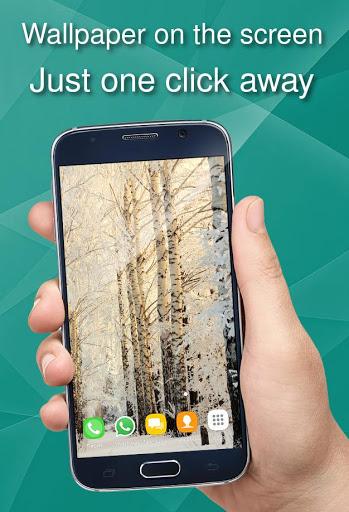 Winter Wallpapers in 4K - Image screenshot of android app