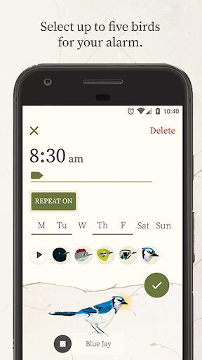Dawn Chorus - Image screenshot of android app