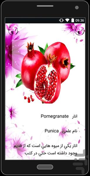 dehkadeh khavas miveha va giyahan - Image screenshot of android app