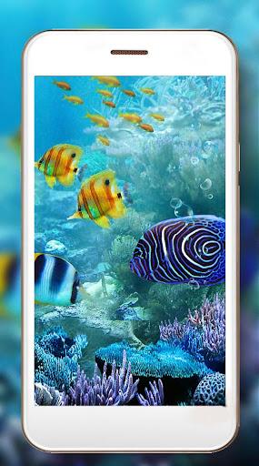 Fish Aquarium Live Wallpaper - Image screenshot of android app