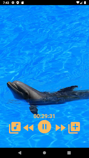 Dolphins - Sound to relax - عکس برنامه موبایلی اندروید
