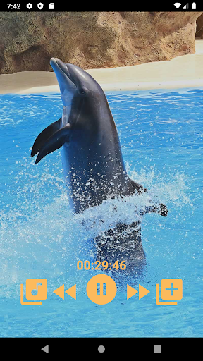 Dolphins - Sound to relax - Image screenshot of android app
