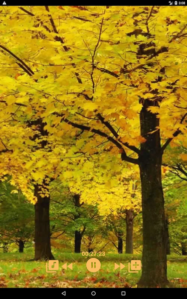 Sound to Relax - Image screenshot of android app