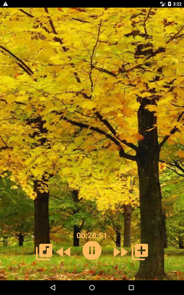 Sound to Relax - Image screenshot of android app