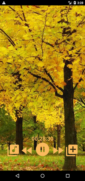 Sound to Relax - Image screenshot of android app