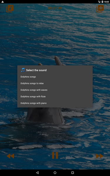 Dolphins songs to sleep - عکس برنامه موبایلی اندروید