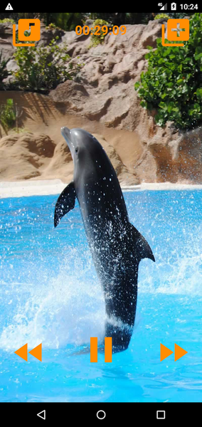 Dolphins songs to sleep - عکس برنامه موبایلی اندروید