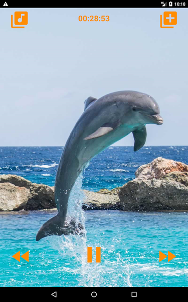 Dolphins songs to sleep - عکس برنامه موبایلی اندروید