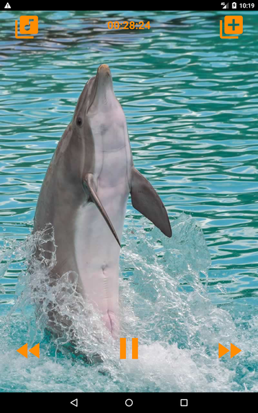 Dolphins songs to sleep - عکس برنامه موبایلی اندروید