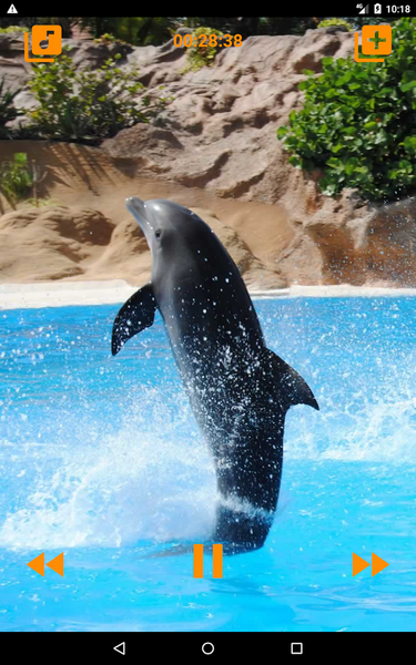 Dolphins songs to sleep - عکس برنامه موبایلی اندروید