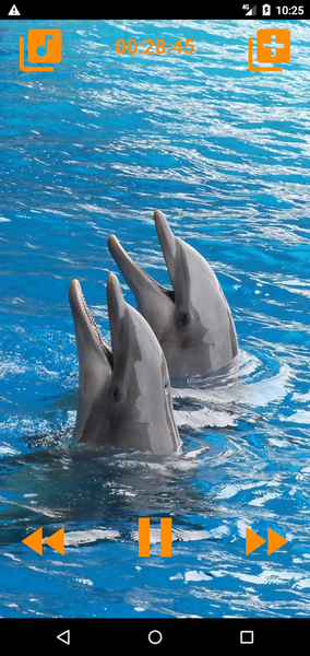 Dolphins songs to sleep - عکس برنامه موبایلی اندروید