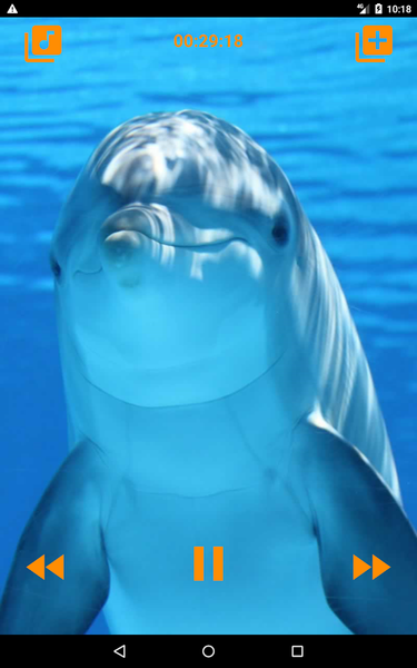 Dolphins songs to sleep - عکس برنامه موبایلی اندروید