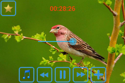 Nature sounds relax & sleep - عکس برنامه موبایلی اندروید
