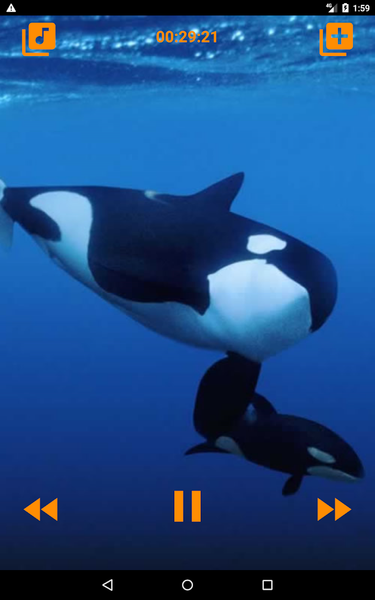 Whales songs to sleep - عکس برنامه موبایلی اندروید