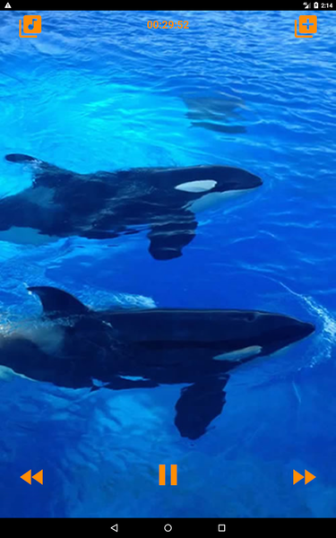 Whales songs to sleep - عکس برنامه موبایلی اندروید