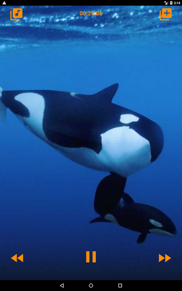 Whales songs to sleep - عکس برنامه موبایلی اندروید