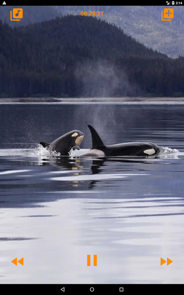 Whales songs to sleep - عکس برنامه موبایلی اندروید