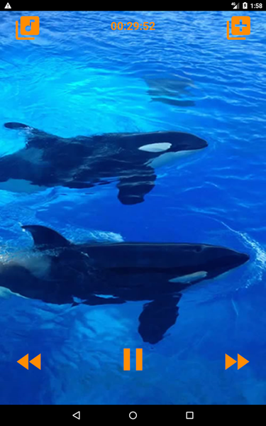 Whales songs to sleep - عکس برنامه موبایلی اندروید