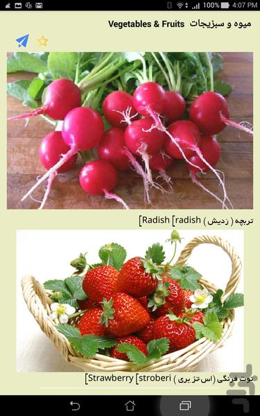 خود اموز زبان(۷ترم) - عکس برنامه موبایلی اندروید