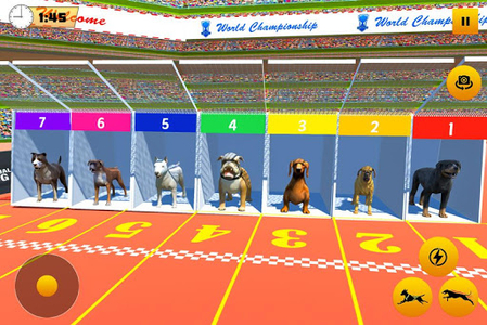 Crazy Dog Racing Fever Game 3D em Jogos na Internet