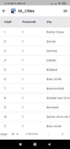 DBViewer - MS Access Viewer - عکس برنامه موبایلی اندروید