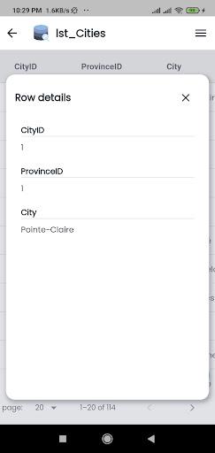 DBViewer - MS Access Viewer - عکس برنامه موبایلی اندروید