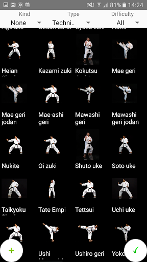 karate moves chart