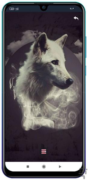 wolf wallpaper - Image screenshot of android app