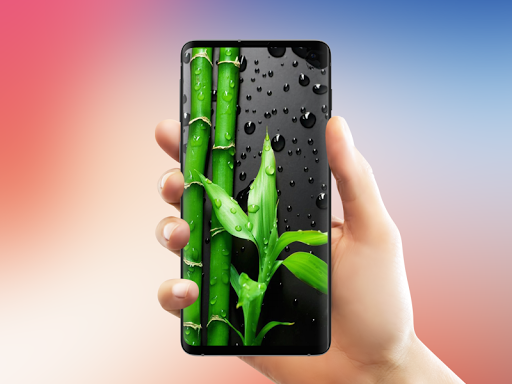 Wallpaper for Galaxy S10 - Image screenshot of android app