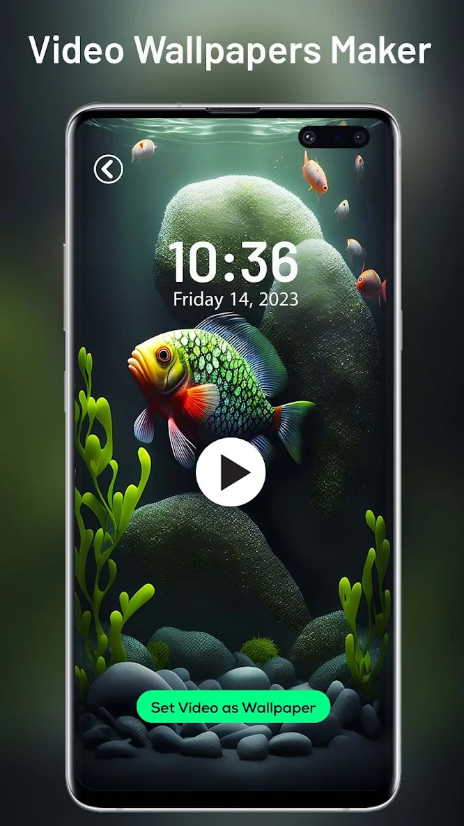 برنامه Video Live Wallpaper Maker 4k دانلود بازار