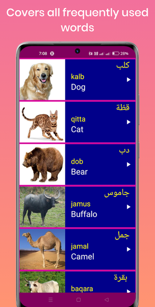 Learn Arabic From English - عکس برنامه موبایلی اندروید