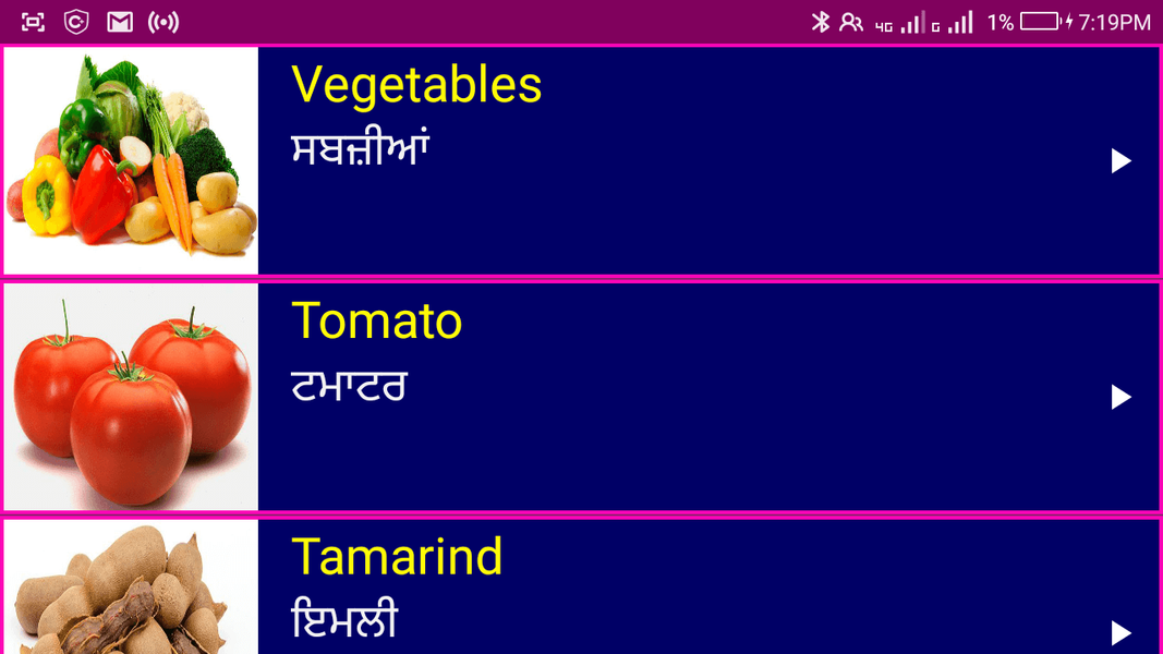 Learn English From Punjabi - Image screenshot of android app