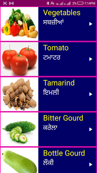 Learn English From Punjabi - Image screenshot of android app