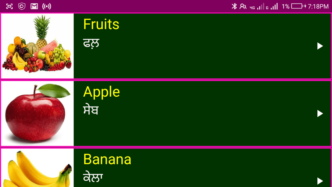 Learn English From Punjabi - Image screenshot of android app
