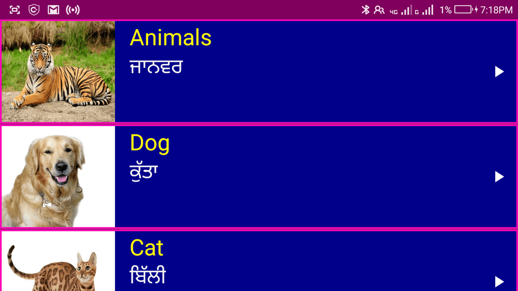 Learn English From Punjabi - Image screenshot of android app