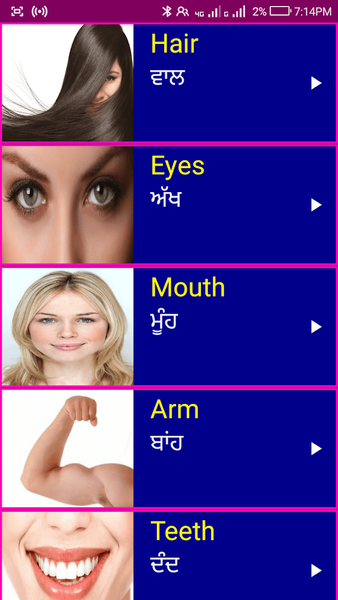 Learn English From Punjabi - Image screenshot of android app