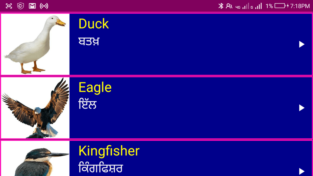 Learn English From Punjabi - Image screenshot of android app