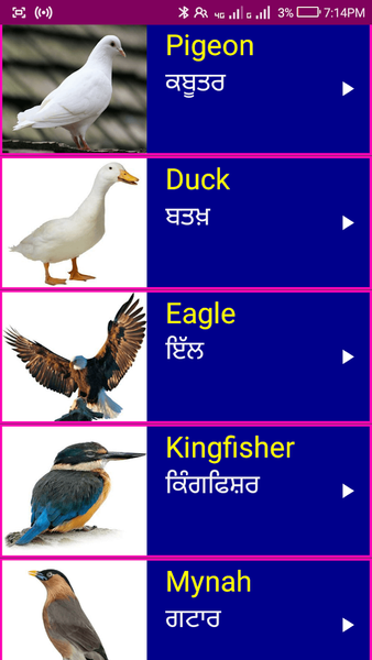 Learn English From Punjabi - Image screenshot of android app