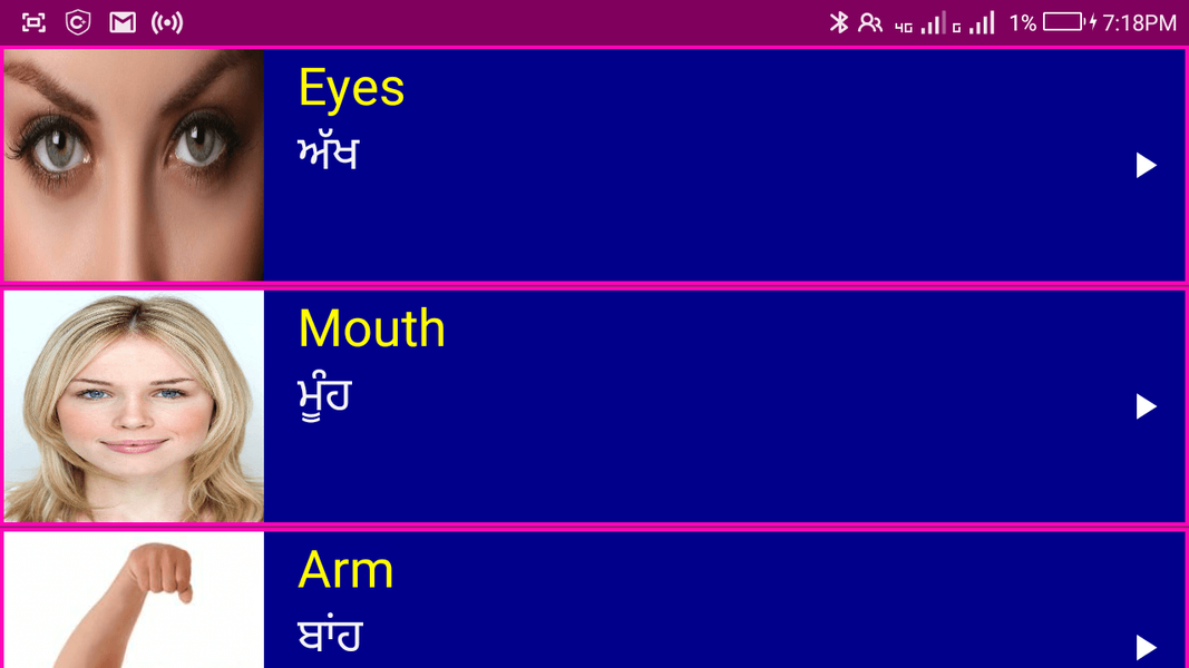 Learn English From Punjabi - Image screenshot of android app