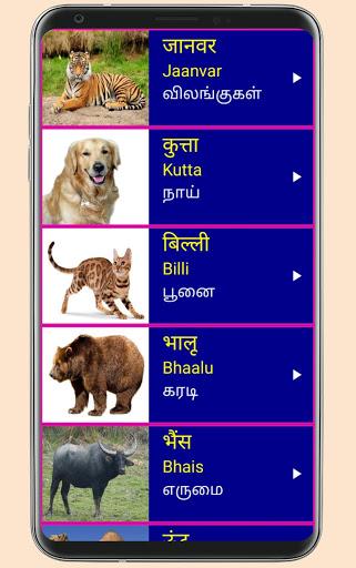 Learn Hindi from Tamil - عکس برنامه موبایلی اندروید