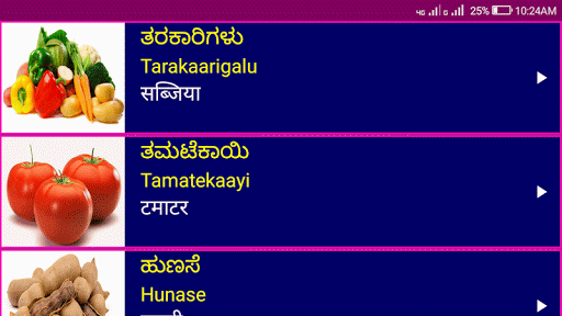 Learn Kannada From Hindi - عکس برنامه موبایلی اندروید