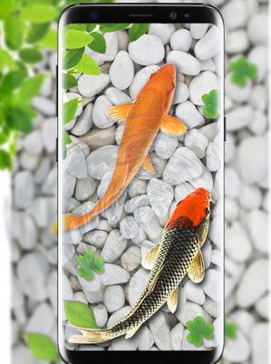 Fish Live Wallpaper Aquarium - عکس برنامه موبایلی اندروید