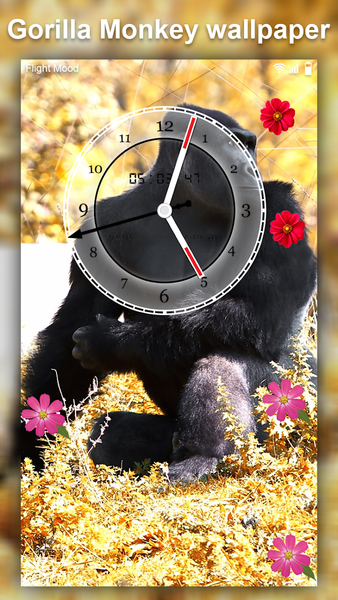 Gorilla Monkey Live Wallpaper - Image screenshot of android app