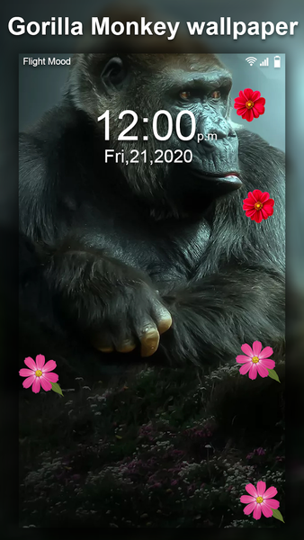 Gorilla Monkey Live Wallpaper - Image screenshot of android app