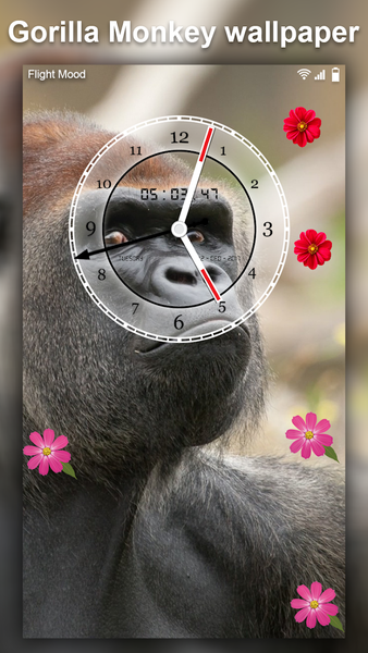 Gorilla Monkey Live Wallpaper - Image screenshot of android app